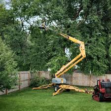 Best Hedge Trimming  in Walnut, CA
