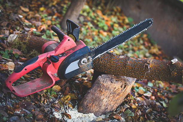 Best Storm Damage Tree Cleanup  in Walnut, CA